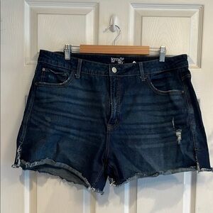 Terra & Sky Blue Jean Shorts High-Waisted Relaxed Fit